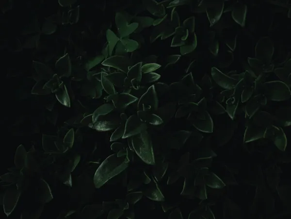 img of How to Reduce AI API Costs Without Breaking Your Product